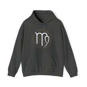 Virgo Hoodie, Unisex Heavy Blend™ Hooded Sweatshirt, Zodiac, Astrology, Virgo girl