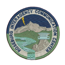 Load image into Gallery viewer, UNF RICC Sport-Tek® Drive Fleece Pullover Hoodie (STF200)