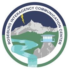 Load image into Gallery viewer, UNF RICC Gildan® Heavy Cotton™ 100% Cotton T-Shirt (5000)