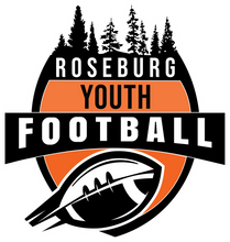 Load image into Gallery viewer, Roseburg Youth Football District Long Sleeve T-shirt (DM132/DM132Y)